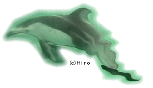 dolphin